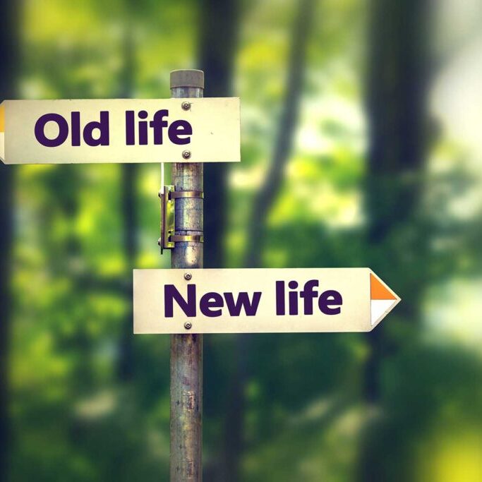 krysallis-therapy-0011 krysallis-therapy-0011